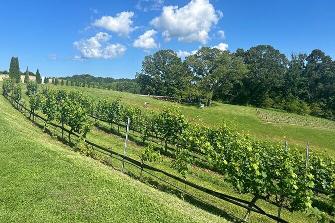 Dahlonega Wine & Dine Private Tour from Atlanta - Frequently Asked Questions