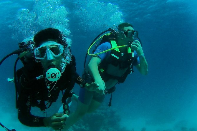 Daily 2 Dives With Equipment From Hurghada - Overview and Details