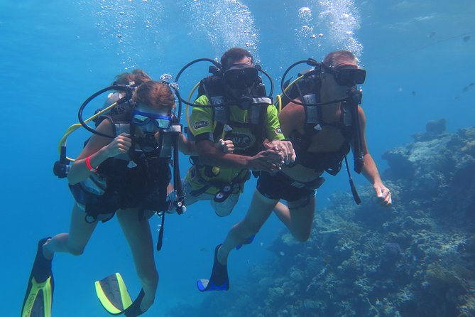 Daily 2 Dives With Equipment From Hurghada - Notable Information