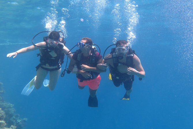 Daily 2 Dives With Equipment From Hurghada - Common Questions