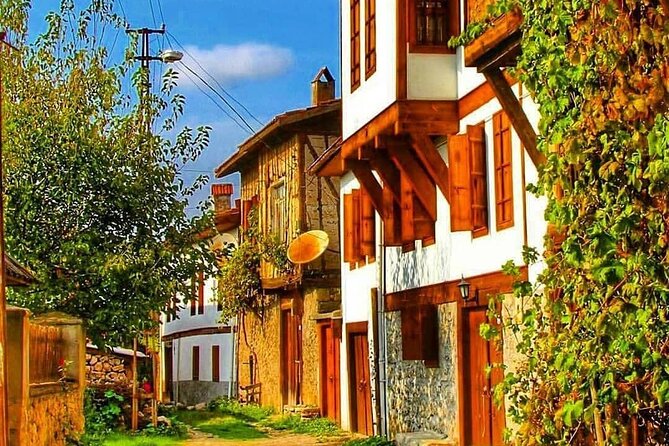 Daily Amasra Tour With Licensed Expert Guide - Tour Overview