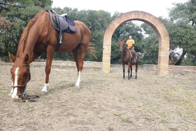 Daily Animals Lovers : Horseback ride with meals & wine included - The Sum Up: Who Would Love This Tour?