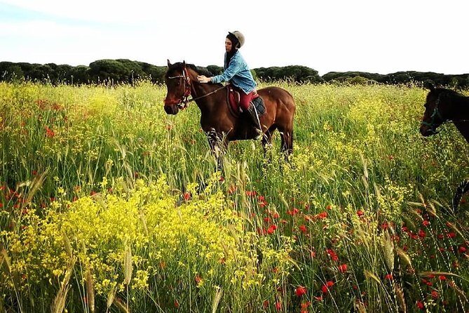 Daily Animals Lovers : Horseback ride with meals & wine included - FAQ