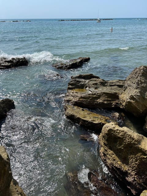 Daily Beach Tour From Rome With a Local - Accessibility Features