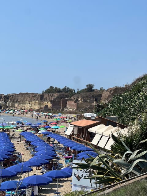 Daily Beach Tour From Rome With a Local - Tips for a Great Experience