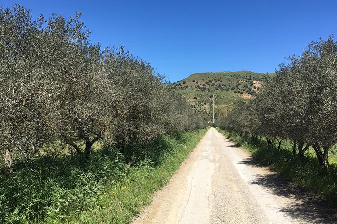 Daily Biking in the Rural Sicily - Unforgettable Memories and Experiences Await