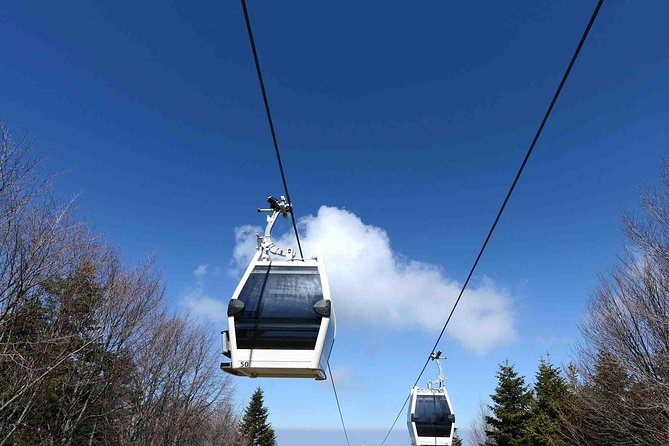 Daily Bursa Tour From Istanbul - Exploring Bursas Historical Sites