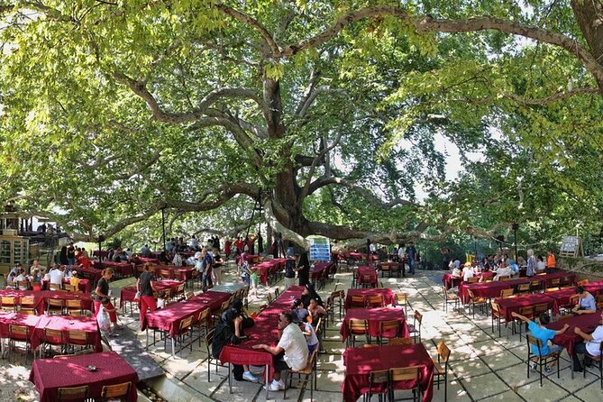 Daily Bursa Uludag Mountain & Cable Car Tour With Lunch From Istanbul - Language Options and Accessibility