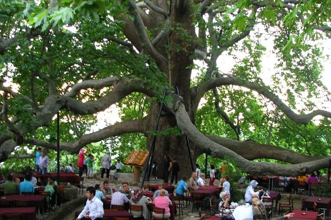 Daily Bursa Uludag Tour - Reviews From Viator Travelers