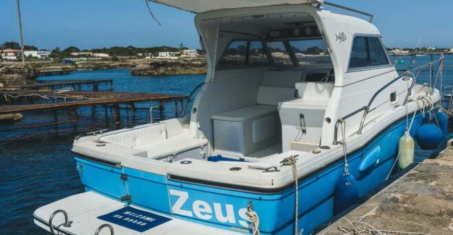 DAILY CHARTER OF THE EGADI ISLANDS WITH TASTING ON BOARD - On-Board Services and Amenities