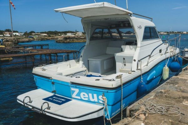 DAILY CHARTER OF THE EGADI ISLANDS WITH TASTING ON BOARD - Safety Guidelines