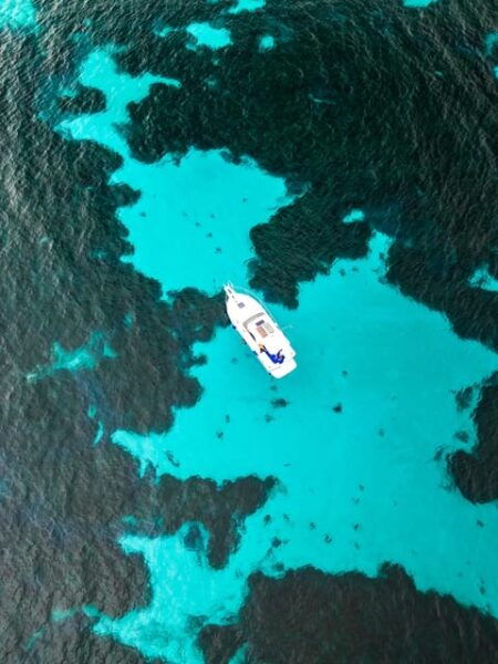DAILY CHARTER OF THE EGADI ISLANDS WITH TASTING ON BOARD - Frequently Asked Questions