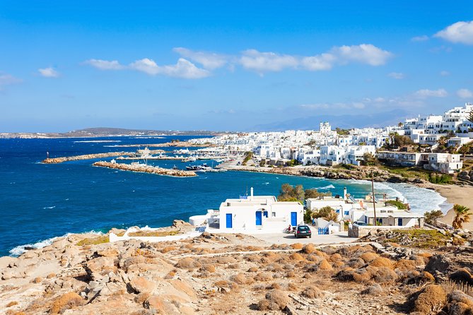 Daily Cruise From Paros to Delos Mykonos - Whats Included