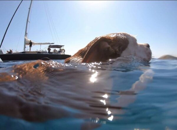 Daily Cruise in Athenian Riviera - Included Amenities