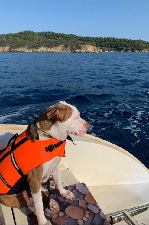 Daily Cruise - Good To Know