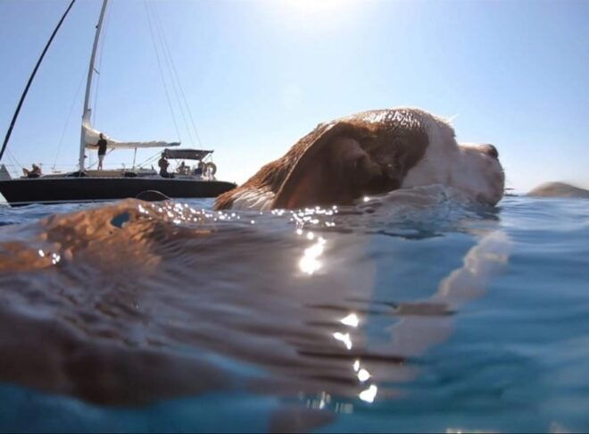 Daily Cruise - Onboard Amenities