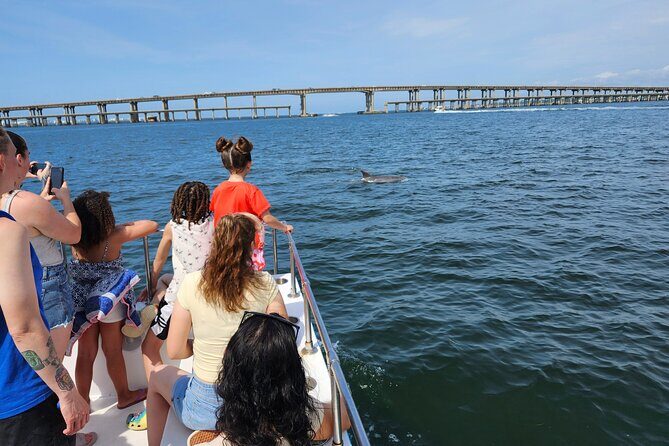Daily Dolphin Cruise + Sightseeing Tour on Pensacola Beach - Frequently Asked Questions
