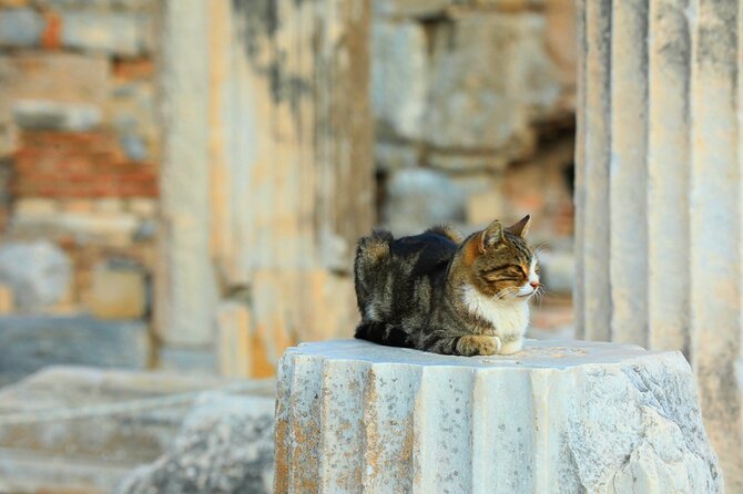Daily Ephesus Trip From/To Kusadasi, Istanbul & Bodrum - Pricing and Booking Options
