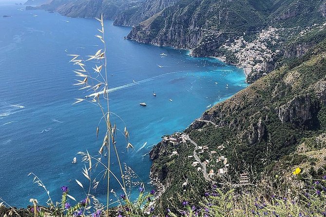 Daily Excursion Full Day 8 Hours ( Amalfi Ravello Pompei) - Itinerary