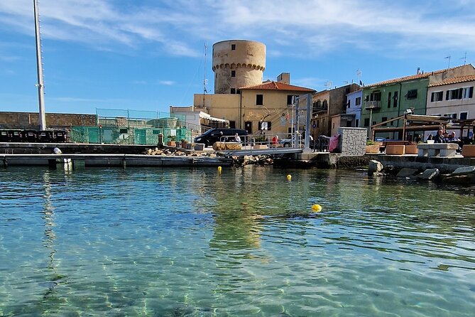 Daily Excursions and Guaranteed Fun in Argentario - Expectations and Participants
