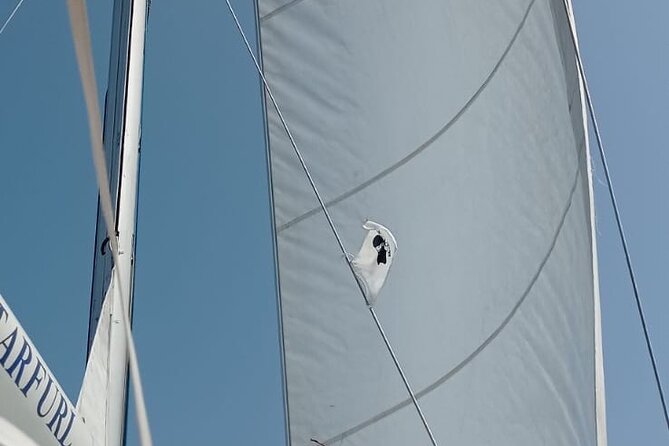 Daily Excursions on a Sailing Boat, Maddalena Archipelago - Questions and Assistance