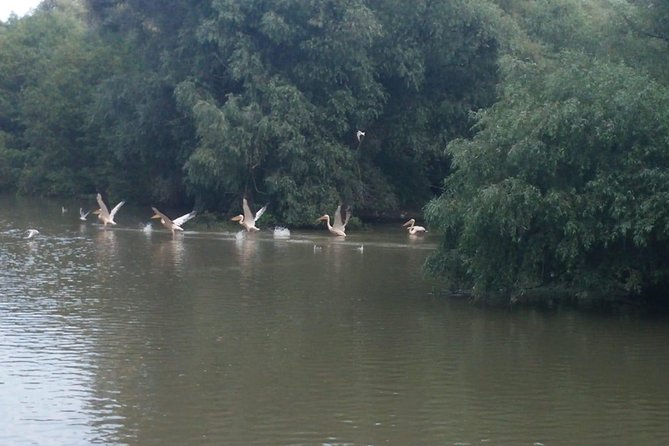 Daily Fishing in the Danube Delta With the Local Guide ... - Inclusions and Start Time
