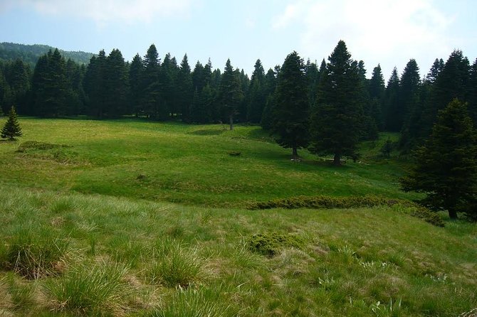 Daily Green Bursa Tour From Istanbul - Mt. Uludag: Cable Car Adventure and Breathtaking Views