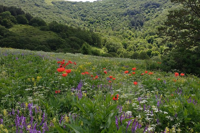 Daily Jeep Tour in Teghenyats Mountains - Tour Experience
