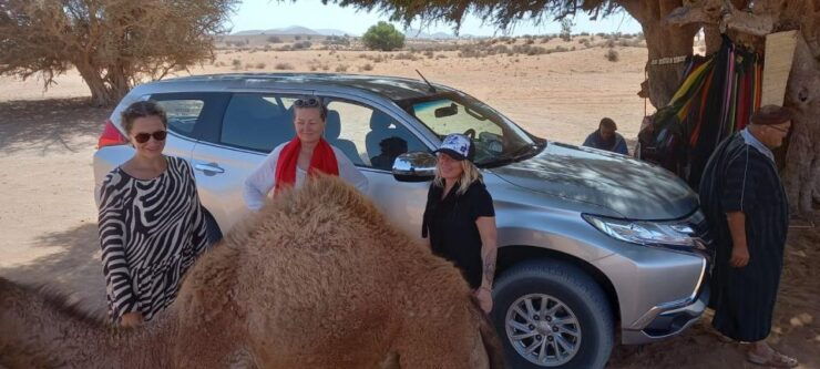 Daily Jeep Tour to Small Desert Including Lunch by - Experience Highlights