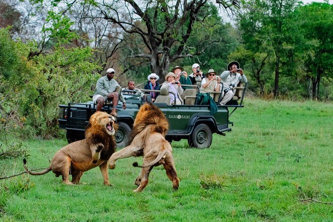 Daily Kruger National Park Safari Private Shuttle - Pricing and Booking Information
