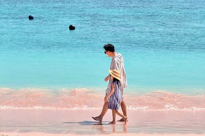 Daily Open Trip Komodo by Speedboat - Who Is This Tour Best For?