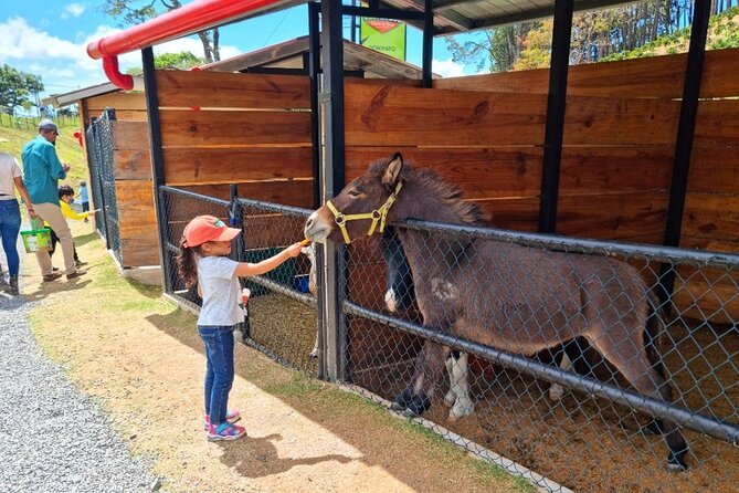 Daily Pass to Eco Park of Cerro La Cruz in Boquete - Park Overview