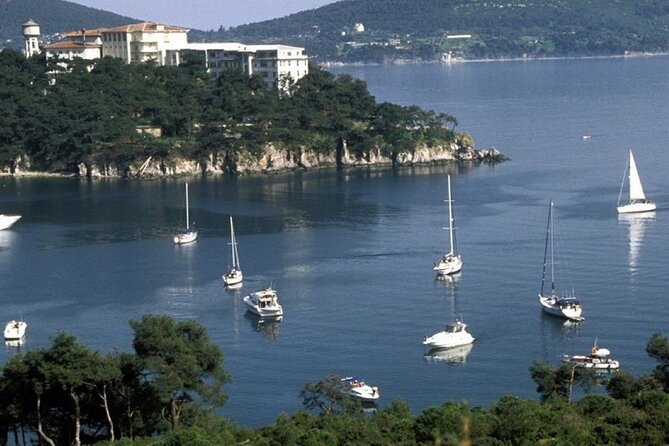 Daily Princes Islands Tour With Lunch From Istanbul - Boat Trip and Views of Istanbul