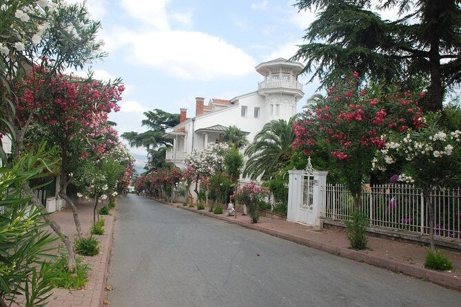 Daily Princes Islands Tour With Lunch From Istanbul - Delicious Buffet Lunch on Board