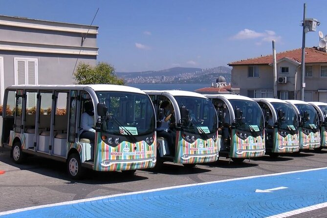 Daily Princes Islands Tour With Lunch From Istanbul - Inclusions and Services Provided