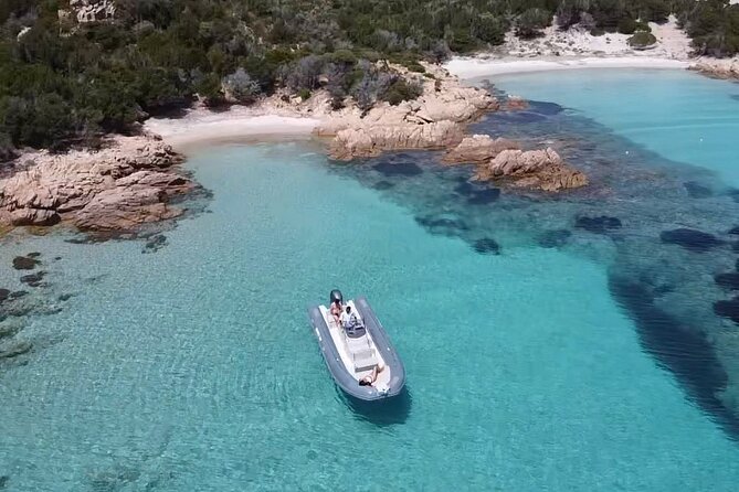 Daily Private Boat Tour in the La Maddalena Archipelago - Wildlife and Nature Encounters