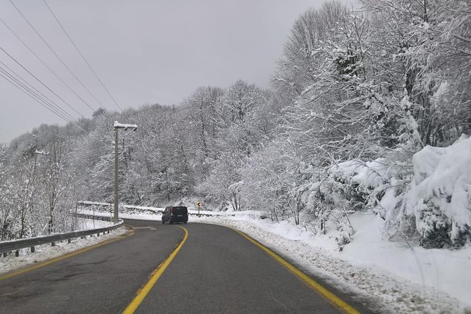 Daily Sapanca Lake MaşUkiye Tour by Private Minivan (Day Trip From Istanbul) - Tour Photos