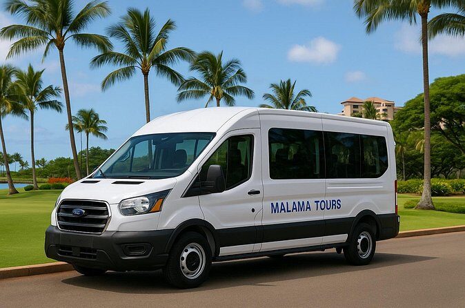 Daily Shuttle from Ko Olina to Waikiki - Practical Tips for Your Trip