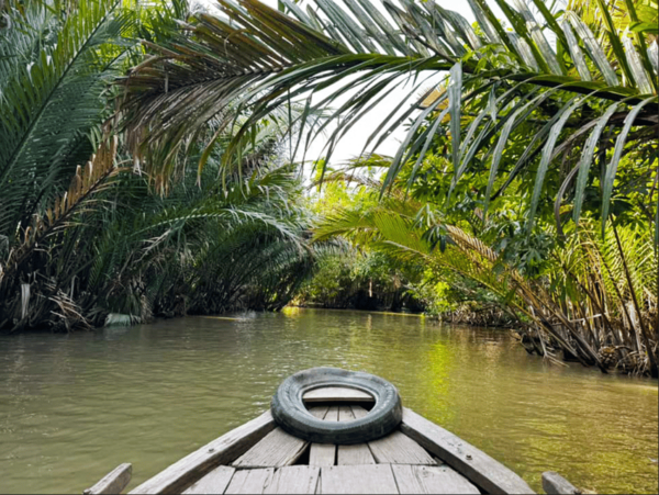 Daily Tour: Explore The Mekong Delta Full Day - Important Exclusions