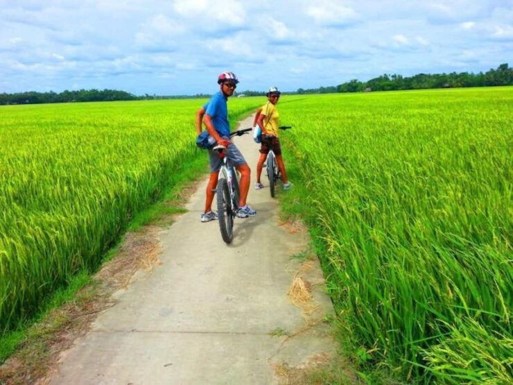 Daily TOUR HOI an COUNTRYSIDE BIKE TOUR Without Meal - Departure and Return Times