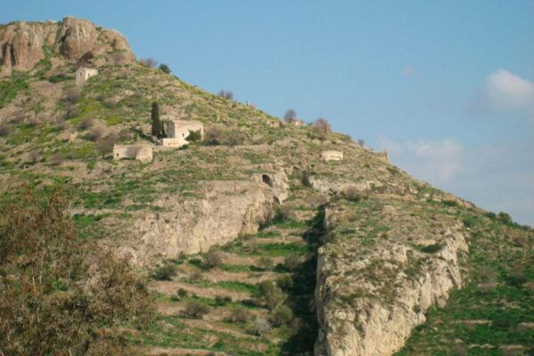 Daily Tour on Aegina - Recommendations for Dining