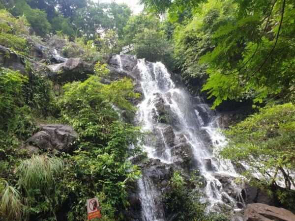 Daily Tour - Paradise & Explore Phong Nha Cave by Boat - Exploring Paradise Cave