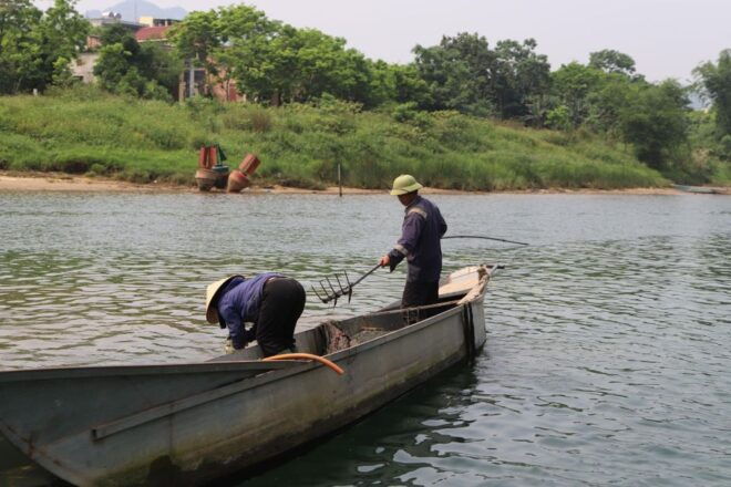 Daily Tour : Zipline at Dark Cave & Phong Nha Cave by Boat - Bathe and Swim in the River