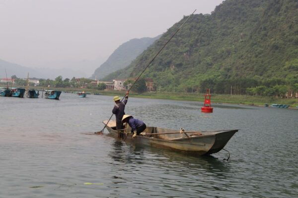 Daily Tour : Zipline at Dark Cave & Phong Nha Cave by Boat - Common Questions
