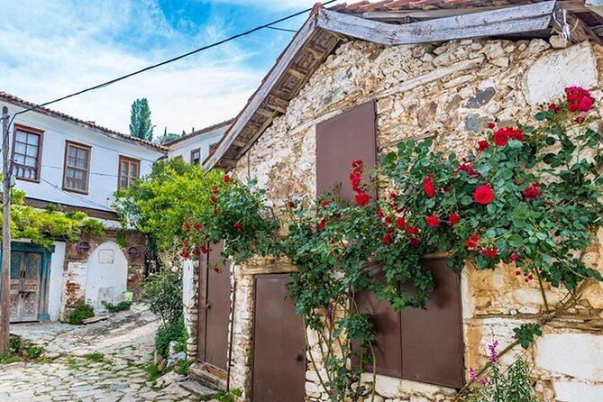 Daily Trip to Ephesus From Kusadasi, Istanbul & Bodrum - Additional Information