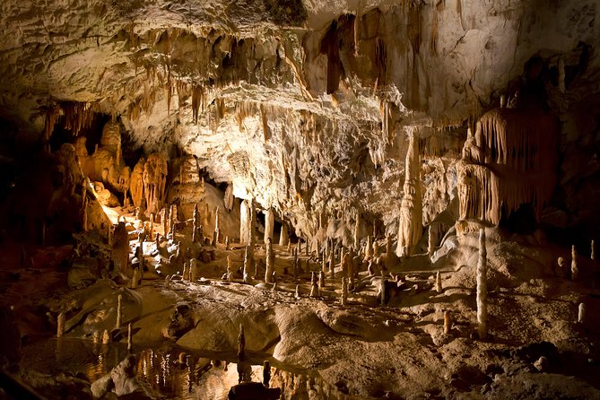 Daily Trip to Predjama Cave and Postojna Castle From Pula - Good To Know