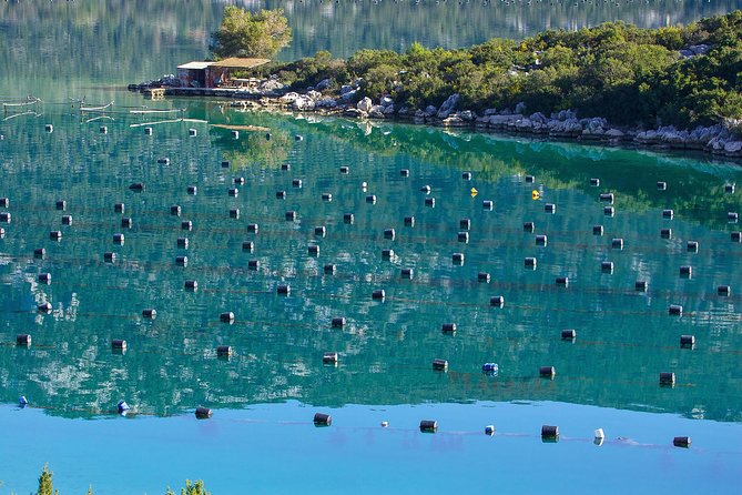 Daily Trip to Ston Walls and Saltworks With Oyster Tasting Incl. From Dubrovnik - Transportation Details