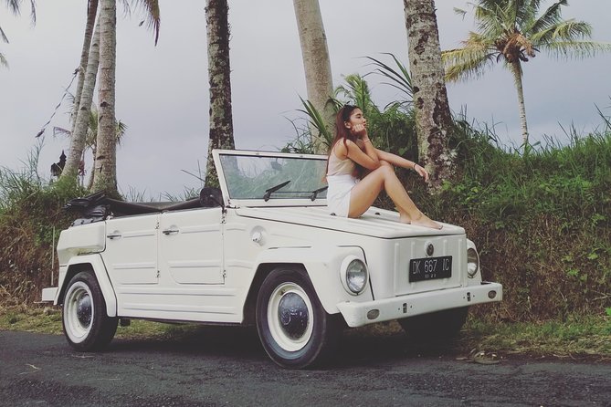 Daily VW Tour - Ubud VW Tour - Itinerary Overview