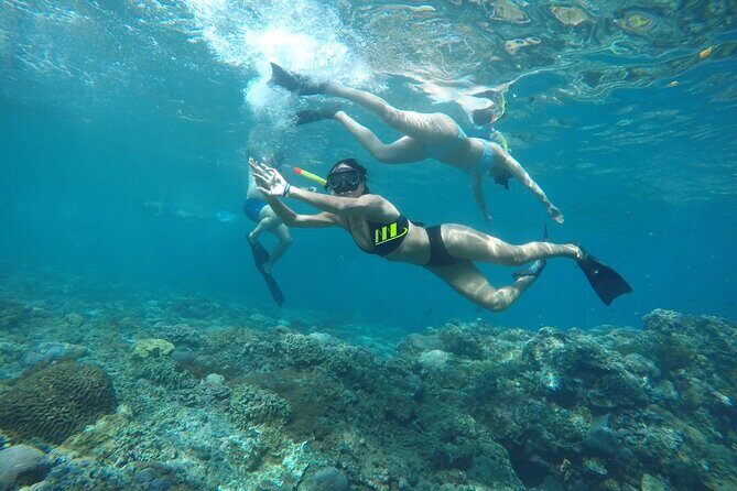 Daily West Nusa Penida Island and Snorkeling Tour with Lunch from Bali - Good To Know
