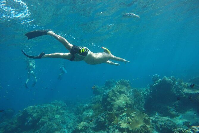 Daily West Nusa Penida Island and Snorkeling Tour with Lunch from Bali - What Is Included and How It Adds Value